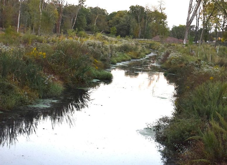 View of Dismal Brook flowing through a restored enclosure surrounded by vegetation.