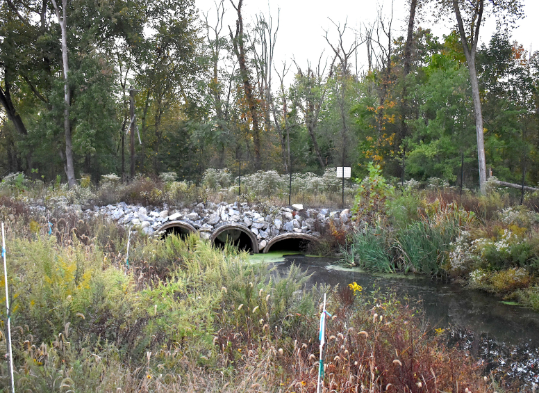 Stone culverts under a railroad embankment at Dismal Brook in a forested area.