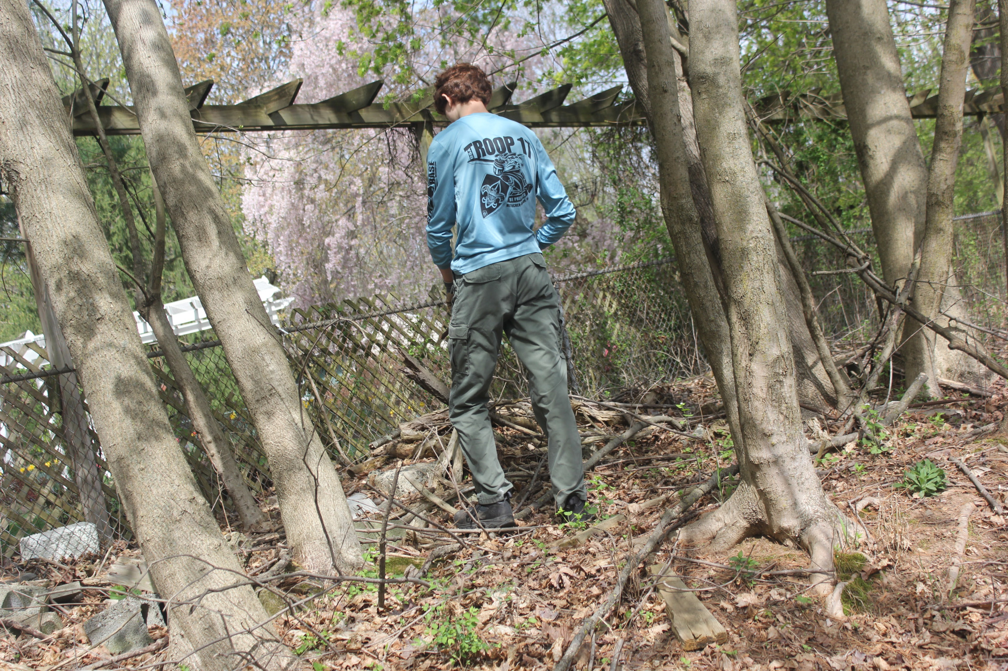 Scout standing on rocks clearing vines near a tree.