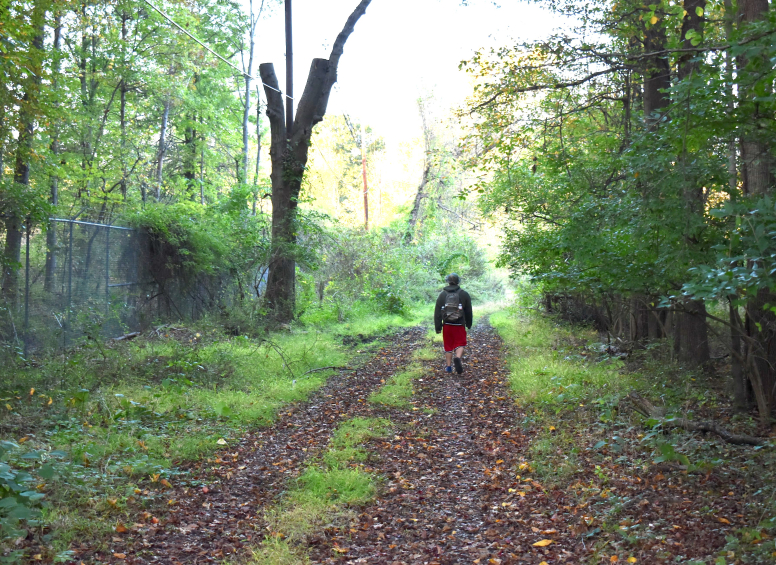 Person walking along a leafy Red Trail path bordered by dense greenery and fencing.