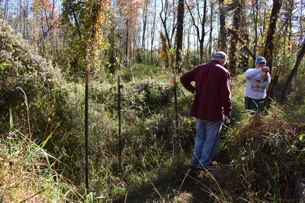 Two volunteers, John Wiley and Brian Weeks, working in a native planting area.