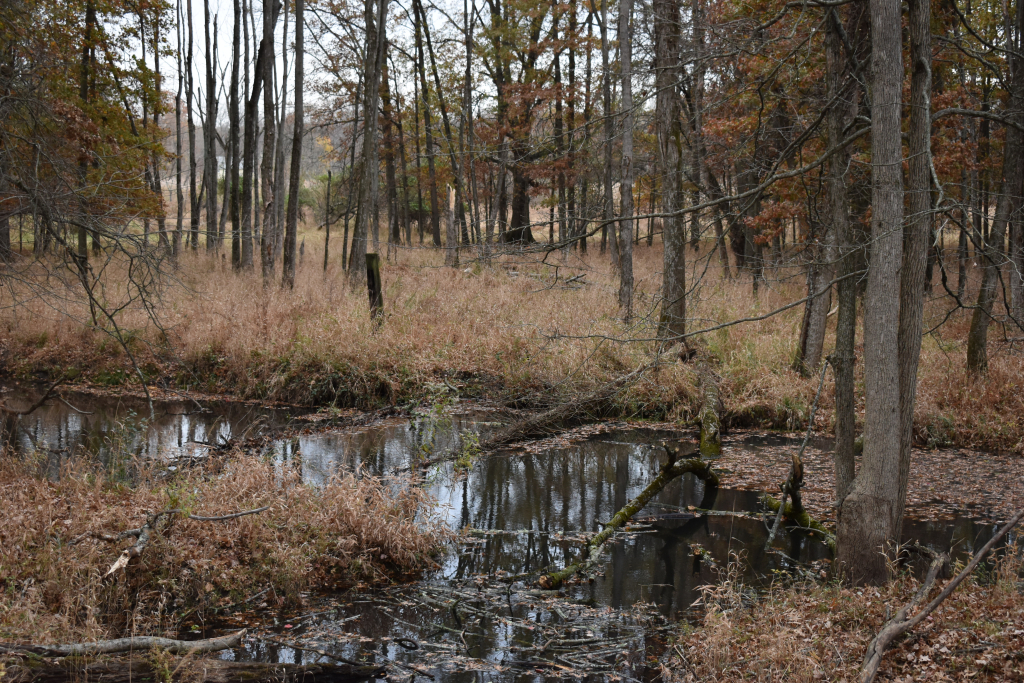 Bound Brook - Bordered by Triple C Ranch