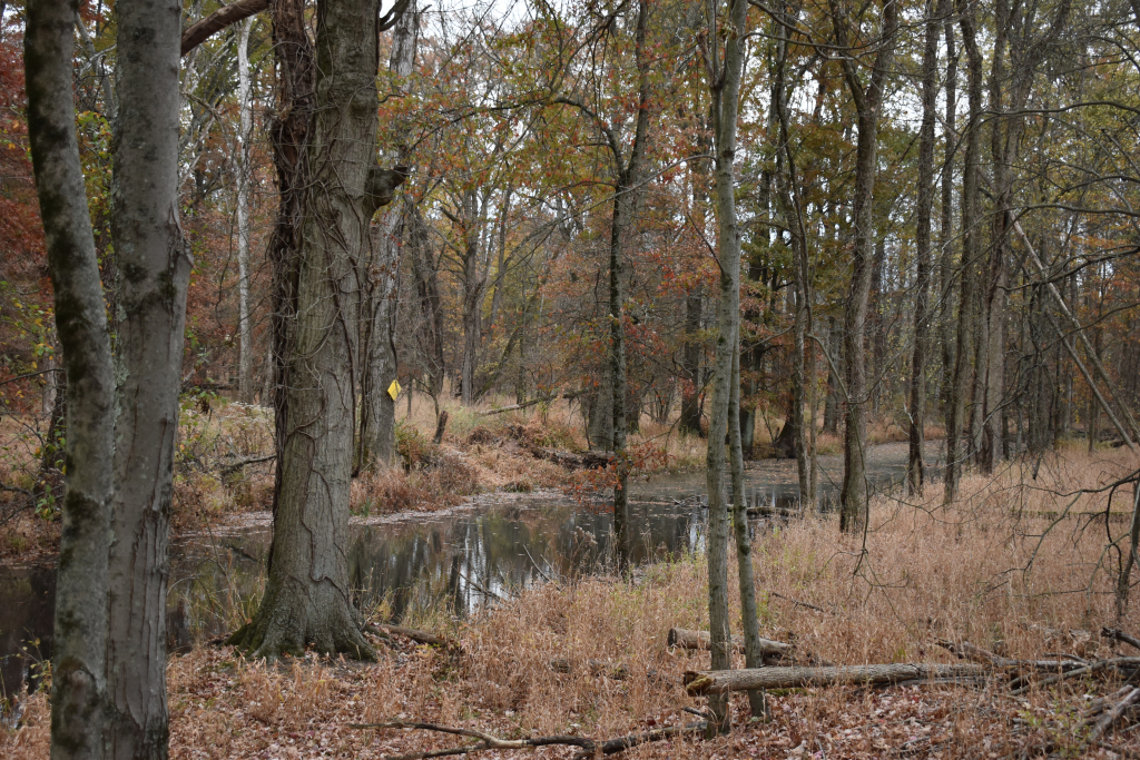 Bound Brook - Bordered by Triple C Ranch