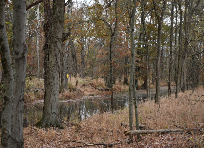 Bound Brook - Bordered by Triple C Ranch