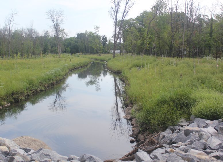 Restored stream bordered by rocks and grass, reflecting trees and sky along the Gulton site.
