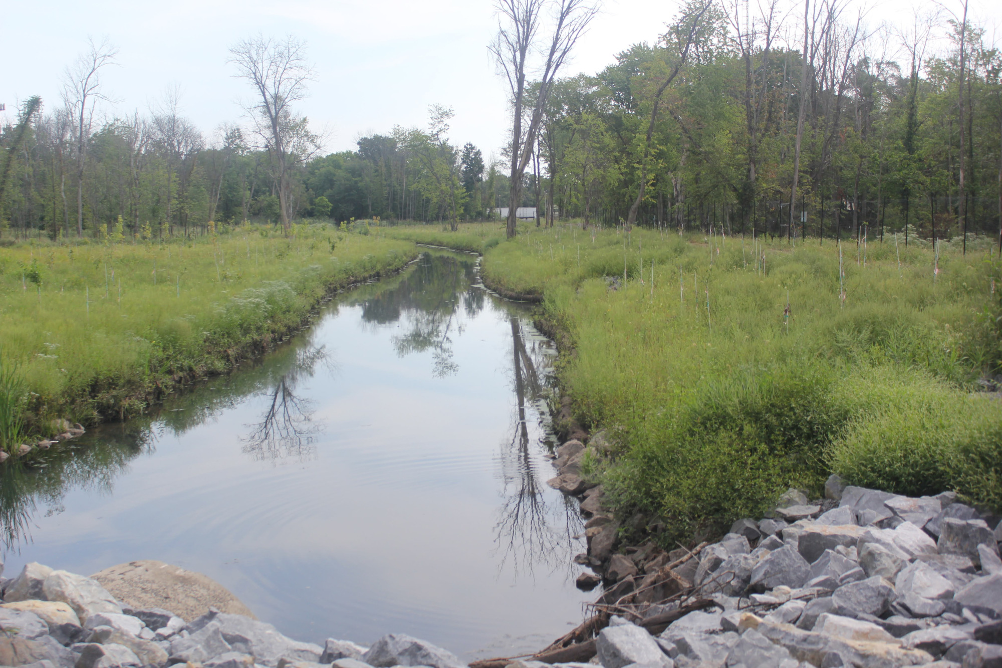 Restored stream bordered by rocks and grass, reflecting trees and sky along the Gulton site.