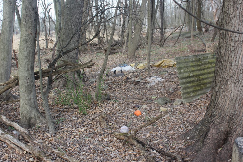 Trash scattered around trees in a wooded area, including a corrugated pipe.