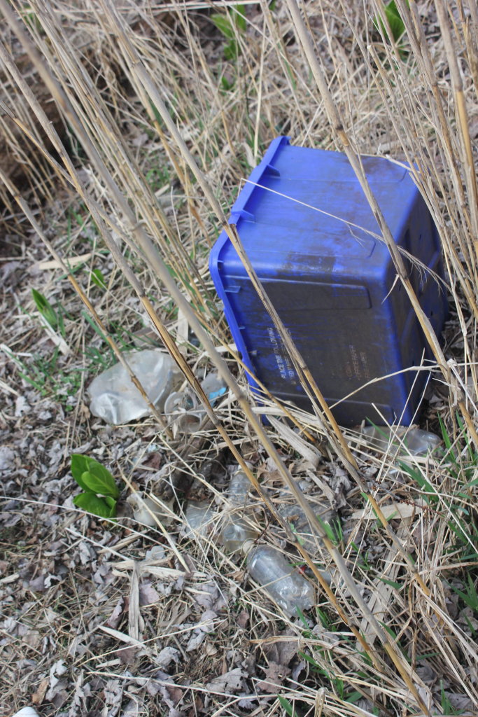 Blue plastic recycling bin overturned in tall grass with surrounding litter.