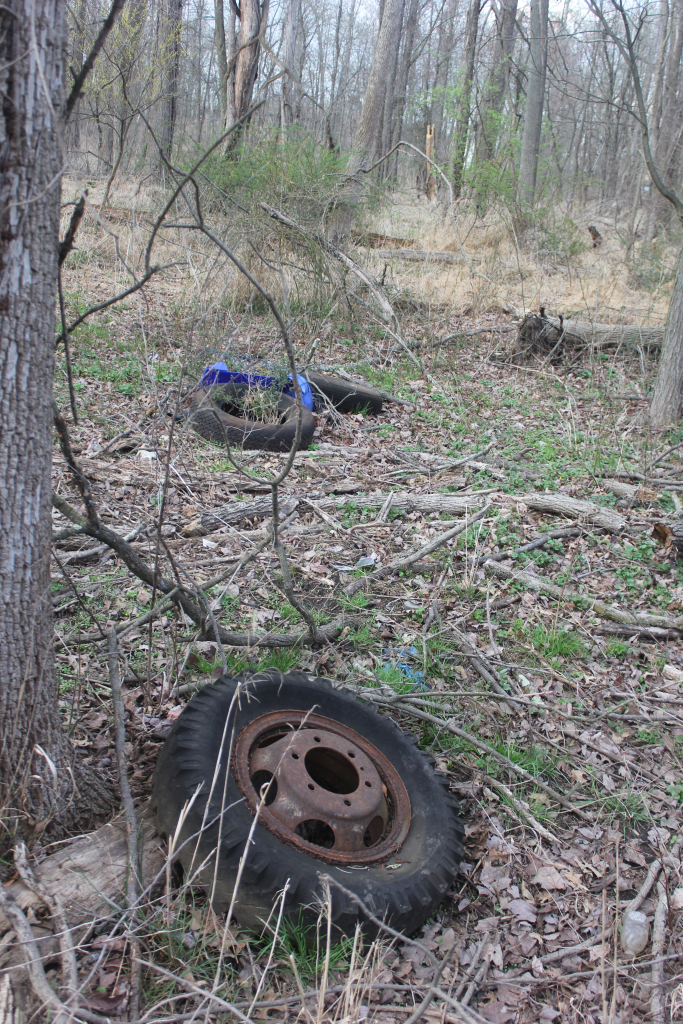 Old rubber tire and other debris abandoned in a wooded area.