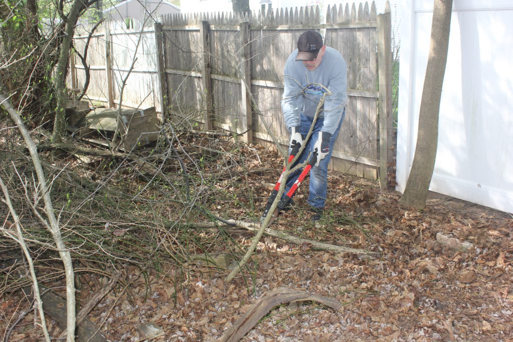 Volunteer using a rake to clean leaves and sticks along a fence line.