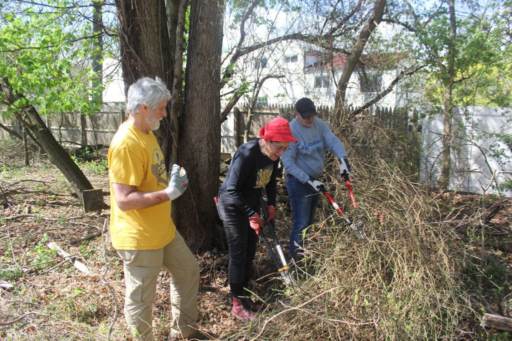 Group of volunteers removing large branches and brush from wooded area.