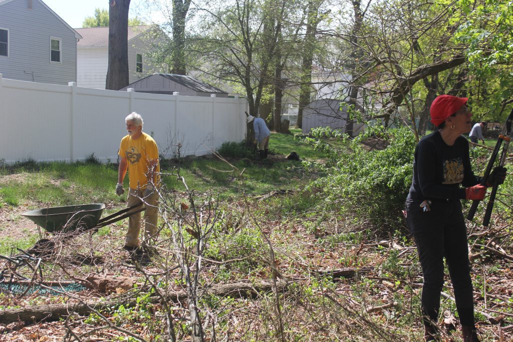 Volunteers clearing brush in a yard near a white fence.
