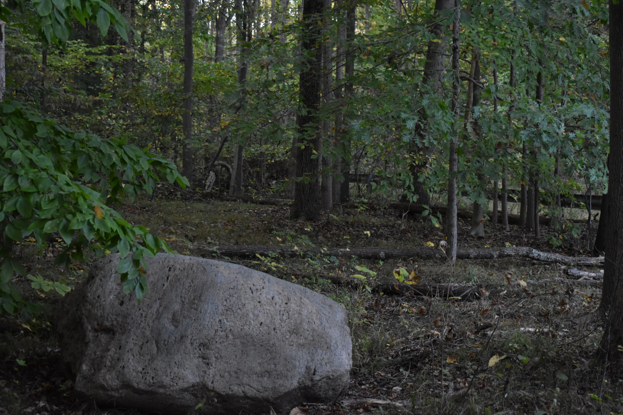Large boulder beside the trail in a shaded forest.