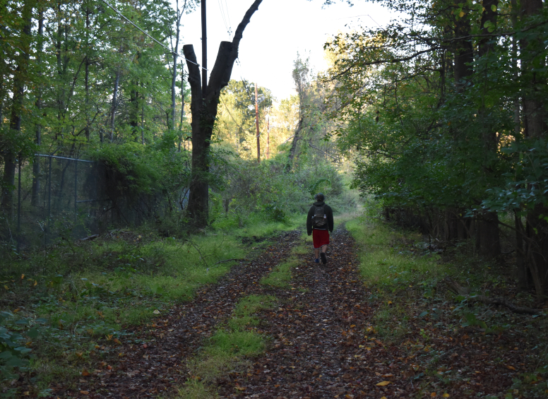 Person walking along a leaf-covered Red Trail path through the woods.