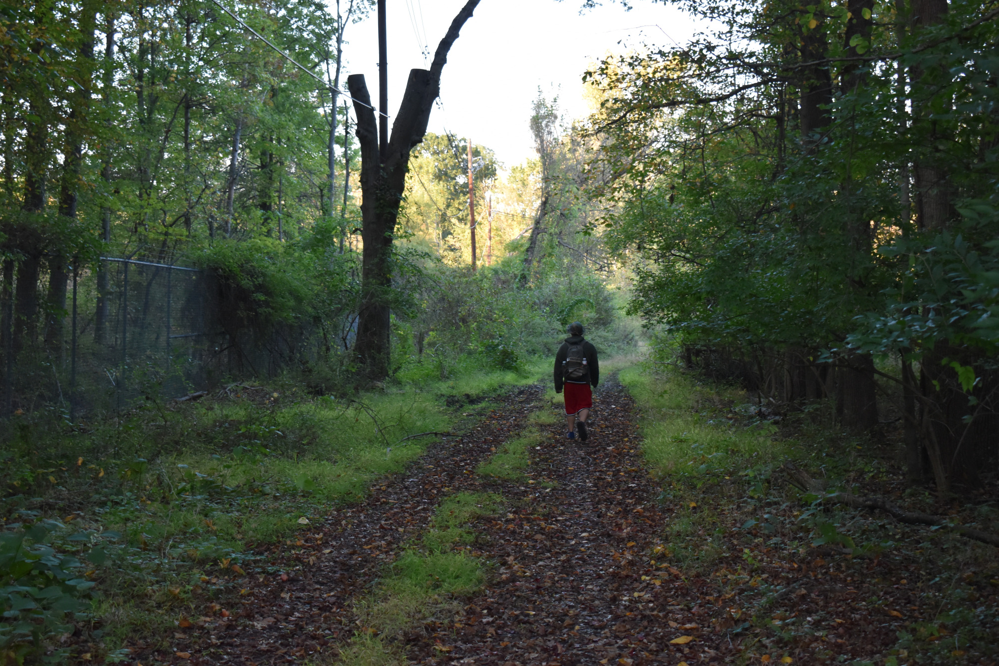 Person walking along a leaf-covered Red Trail path through the woods.