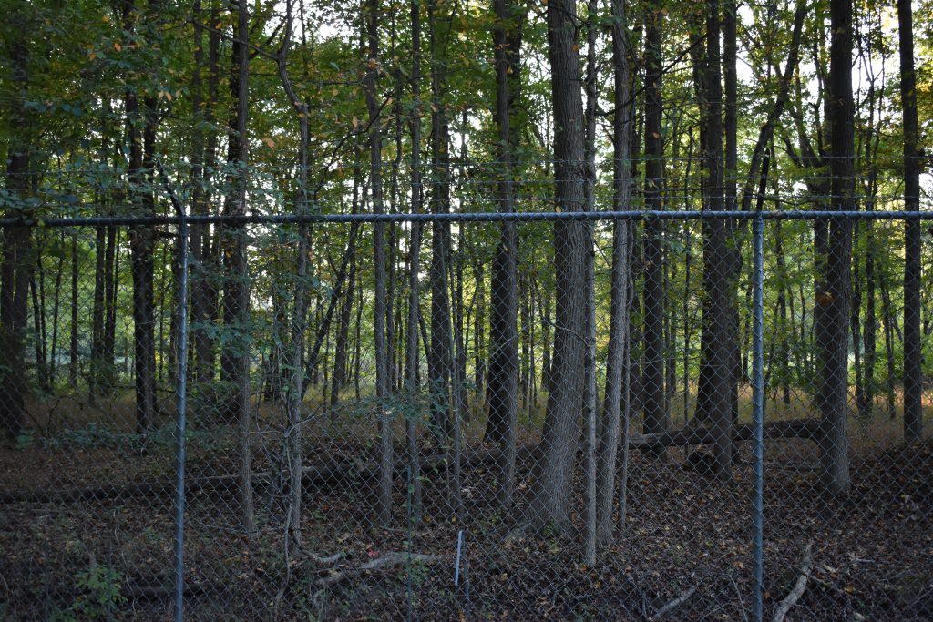 Fence enclosing a wooded area within the Woodbrook Superfund site.