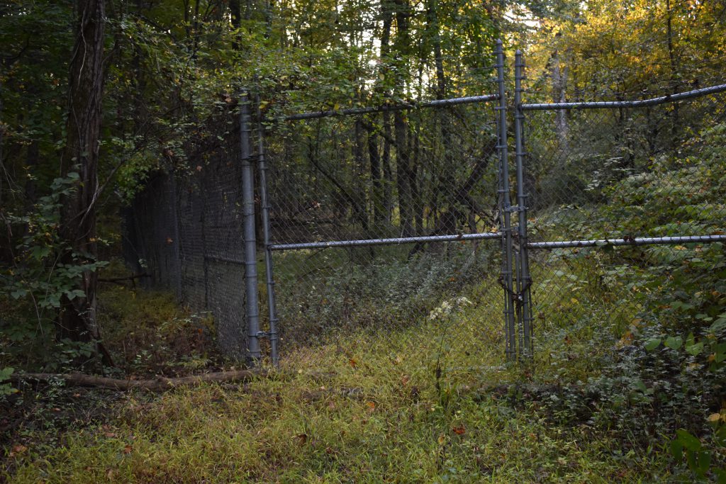 Locked metal gate surrounded by overgrown vegetation at the Woodbrook Superfund site entrance.