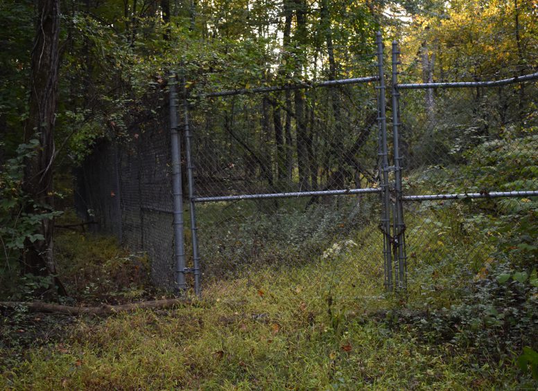 Locked metal gate surrounded by overgrown vegetation at the Woodbrook Superfund site entrance.