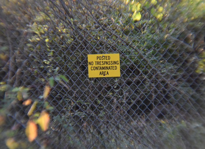 Yellow warning sign on a fence reading “Posted – No Trespassing – Contaminated Area” surrounded by dense vegetation.